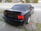Thumbnail Photo 2 for 2000 Ford Mustang GT